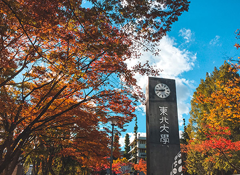 大学別傾向分析・対策ポイント～東北大学文系編～