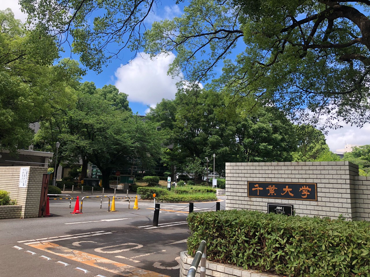 大学別傾向分析・対策ポイント～千葉大学文系編～
