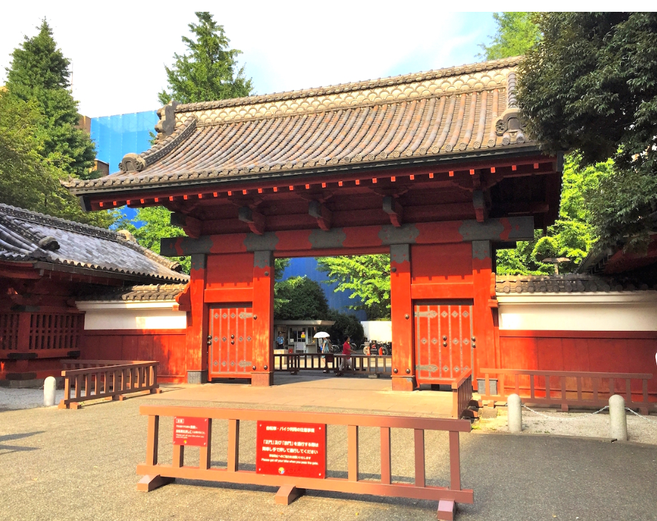 高1高2生へ　東大国語は面白い！